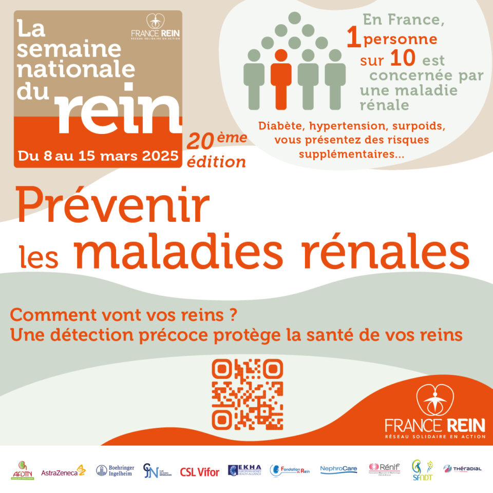 Semaine Nationale du Rein : Une Urgence Préventive Pour Sauver les Reins Français