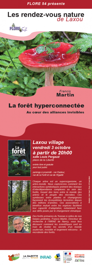 Laxou : Une forêt hyperconnectée et ses mystères secrets
